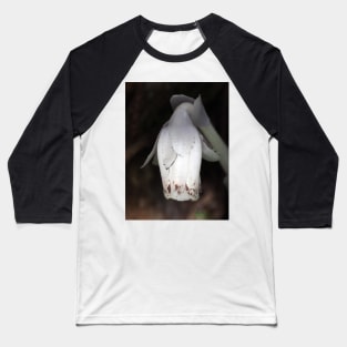 Monotropa uniflora (Indian pipe plant) flower close-up Baseball T-Shirt